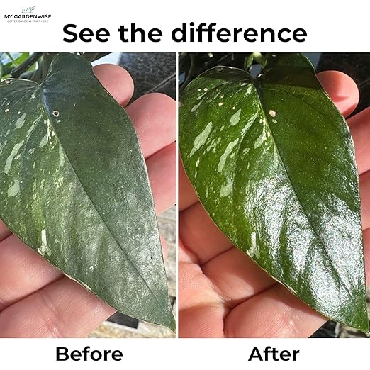 GardenWise Leaf Shine Spray for Indoor Plants – Plant Leaf Cleaner & Shine for Real House Plants – Fragrance-Free, Non-Sticky, Streak-Free Finish, 8 fl oz