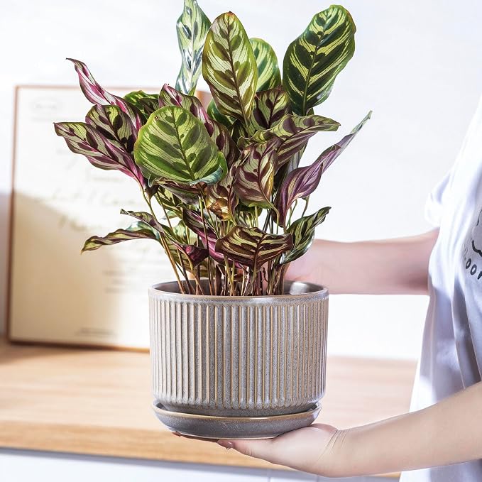 SURE YUESI Ceramic Plant Pots Set of 3, Indoor Outdoor Planters with Drainage Hole and Saucer, Ceramic Flower Pots for Indoor Plants, 4.3+5.5+6.8 Inch, Home, Garden, Patio and Office, Matte Grey