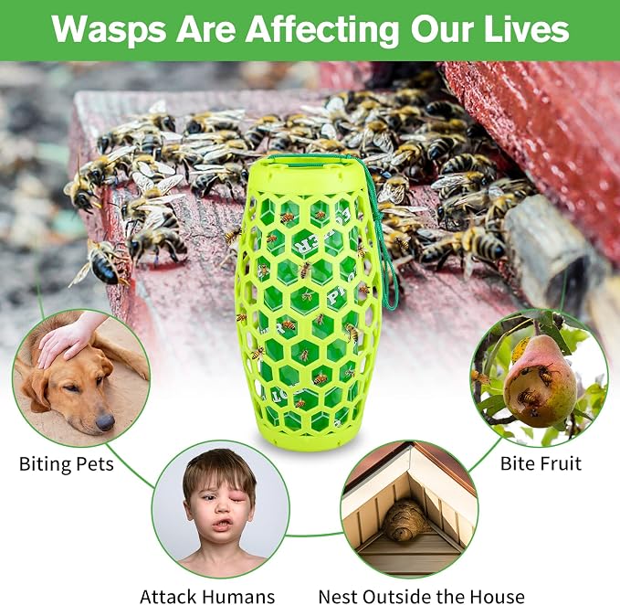 Wasp Trap Bee Catcher - Outdoor Hanging Carpenter Bee Traps with 4 Sticky Boards, Non-Toxic Reusable Hornet & Yellow Jacket Trap, 2 Pack (Green)
