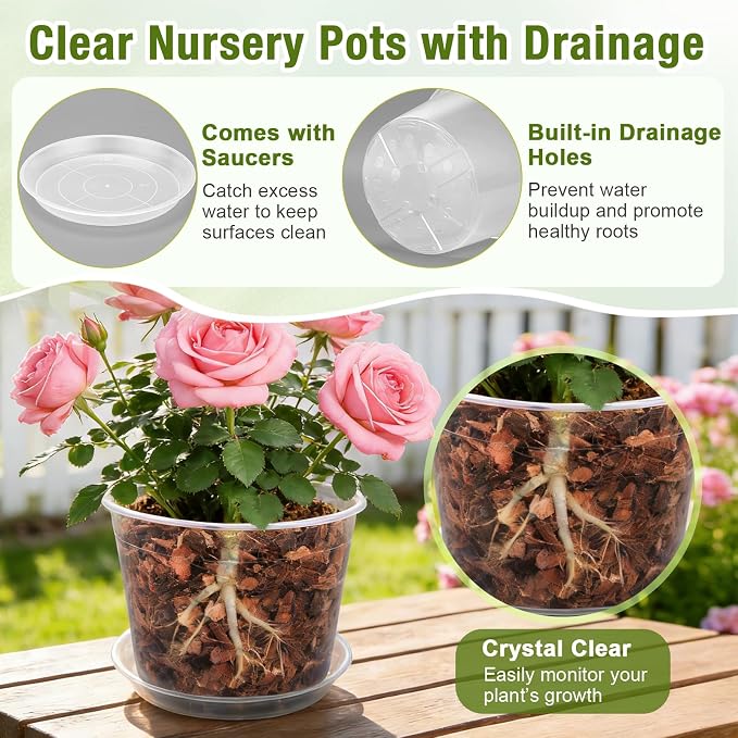 8 Inch Clear Nursery Pots with Drainage and Saucers, 5 Pack Large Clear Plastic Nursery Pots for Plants, Seedling Plant Pots for Repotting and Growing Plants, Flowers & Vegetables(8 inch)