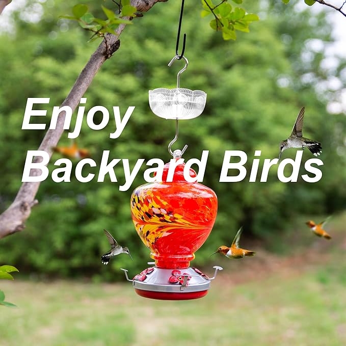 Ant Moat for Hummingbird Feeders, (4 Pack, 6 OZ) Vintage Style Ant Guard Hummingbird Feeder (Clear)