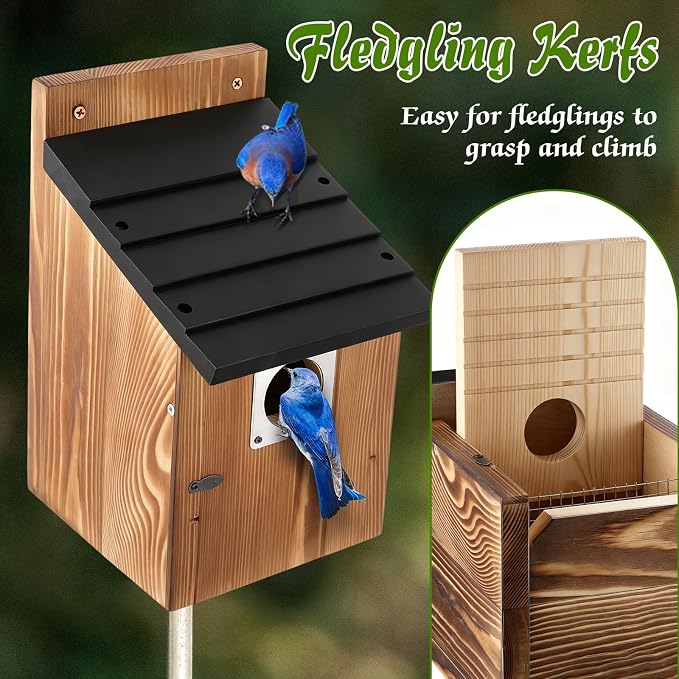 Dreyoo 8 Pack Bluebird Houses for Outside with Metal Predator Guard, 1-1/2" Entrance Hole Wooden Blue Bird Houses for Outdoors, Bluebird Nesting Box with Screwdriver(Black Roof, Burnt Wood Body)