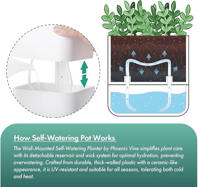 Phoenix Vine 3.5 Inch Wall Mounted Self-Watering Planter Pot for Indoor Houseplants and Herbs | Hanging Planter for Window Sills, Bathroom Walls, Home & Office Décor, White, Set of 4, 01-A-D-4