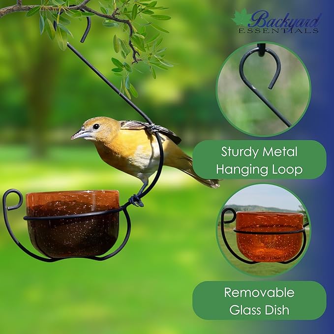 Oriole Jelly Feeder - Sparkling Orange Glass Bowl with Decorative Hanging Hook - Removable Cup for Easy Cleaning - Outdoor Baltimore Oriole Feeder for Grape Jelly, Fruit & Nectar