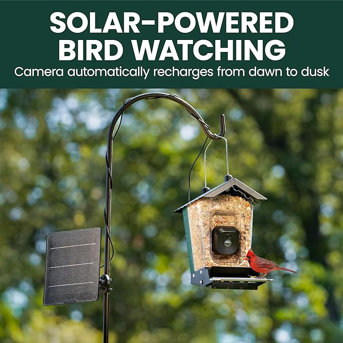 Perky-Pet Solar Powered Smart Bird Feeder with Camera - Squirrel-Resistant, 3.2L Capacity, Motion Activated 1080p HD WiFi Live Stream Camera, SPCAM, SPCAMSLR - Camera Feeder Gift Idea, Blue