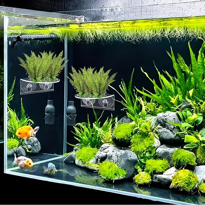 YAYODS 6 Pcs Aquarium Shelf, Acrylic Window Plant Shelf Suction Cup Shelf for Indoor Plant Substrate, Fish Tank, Seed Starter Pots