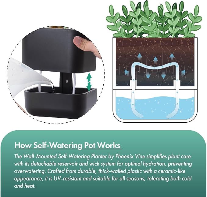Phoenix Vine 3.5 Inch Wall Mounted Self-Watering Planter Pot for Indoor Houseplants and Herbs | Hanging Planter for Window Sills, Bathroom Walls, Home & Office Décor, Black, Set of 6, 01-A-E-6