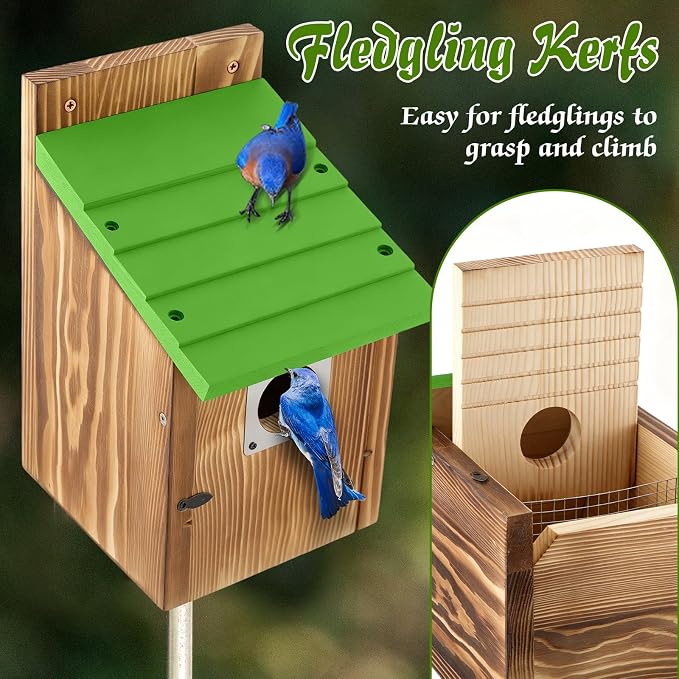 Dreyoo 4 Pack Bluebird Houses for Outside with Metal Predator Guard, 1-1/2" Entrance Hole Wooden Blue Bird Houses for Outdoors, Bluebird Nesting Box (Green Roof, Burnt Wood Body)