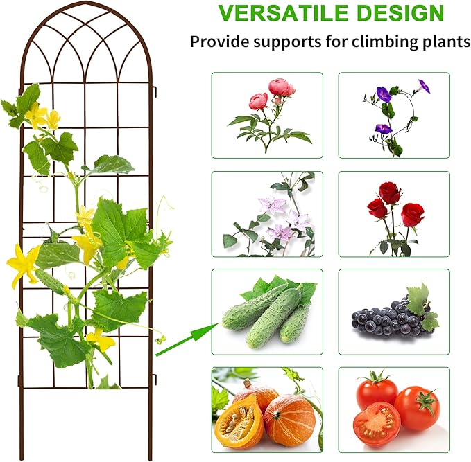 LZRS 2 Pack Rustic Iron Arch Decoration Garden Trellis with Metal Coating – Perfect for Supporting Climbing Plants Outdoor, Roses, Vines, Flowers, and Vegetables, Brown