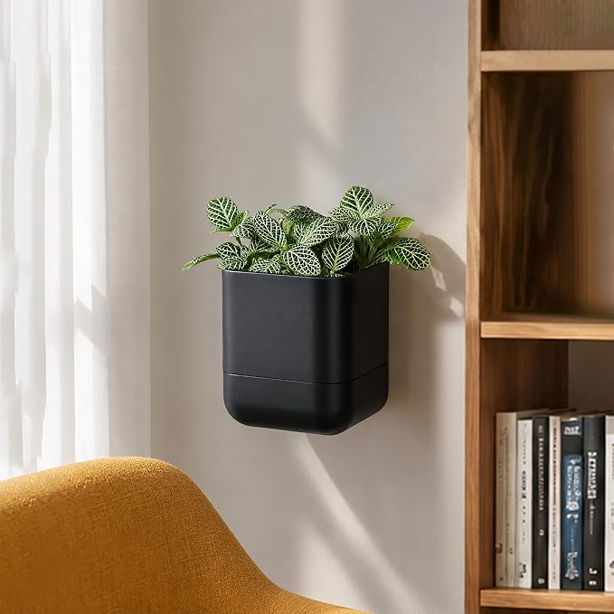 Phoenix Vine 4.5 Inch Wall Mounted Self-Watering Planter Pot for Indoor Houseplants and Herbs | Hanging Planter for Window Sills, Bathroom Walls, Home & Office Décor, Black, Set of 1, 01-B-E-1