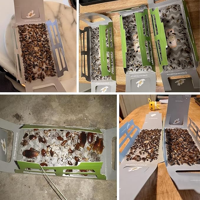 Cockroach Traps,Roach Traps,Cockroach Bait,Roach Motel,Child & Pet Friendly (10 Pack)