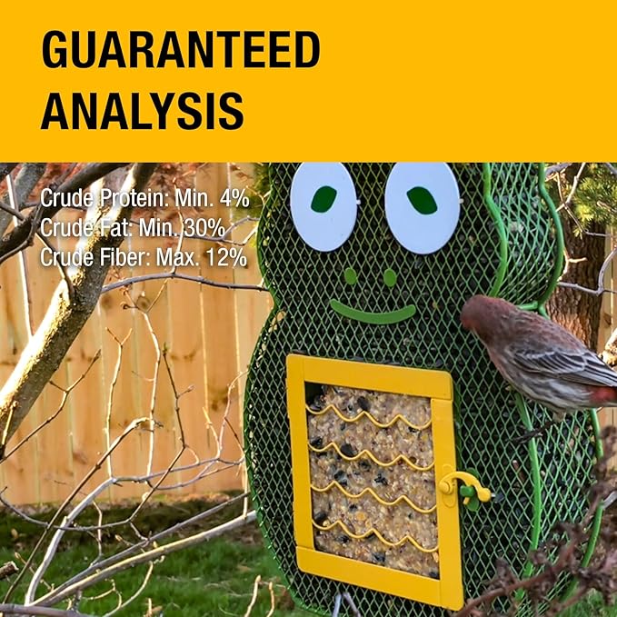 Heath Whimsical Frog Suet 'n Seed Bird Feeder for Suet Cakes and Sunflower Seeds with 2 Free Bird's Blend Suet Cakes Included