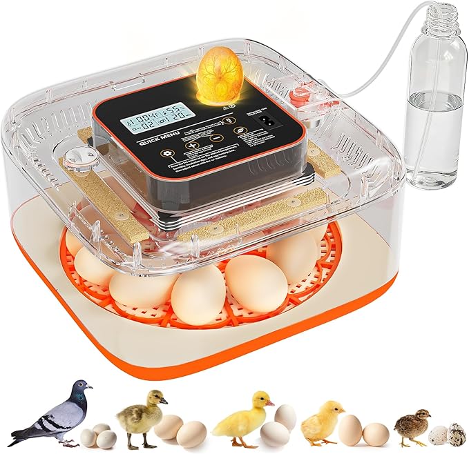 Incubators for Hatching Eggs 12 Egg Digital Egg Incubator Precision Auto Temp Humidity Control 6 Gear Adjustable Auto Turner Auto Stop Turning Hatching Days Display for Chicken Duck Goose Eggs