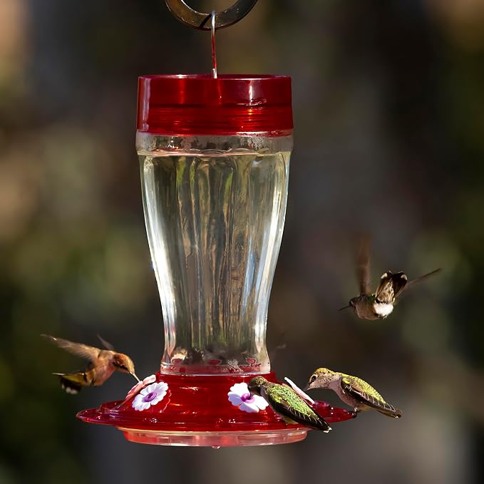 More Birds Bird Health+ Big Gulp Glass Hummingbird Feeder, 5 Feeding Stations, 40 oz + Perky-Pet 522 Ready-to-Use Clear Hummingbird Nectar in 4 Cans, 16 oz Each Recyclable Aluminum Can