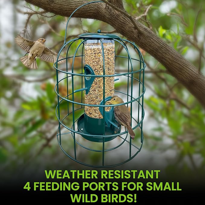 Garden Guru Squirrel Proof Bird Feeder – Outdoor Caged Tube Hanging Bird Feeder with 4 Perches for Small Wild Birds – Premium Coated Steel & Metal Seed Guard - Chew Proof, Weather Resistant