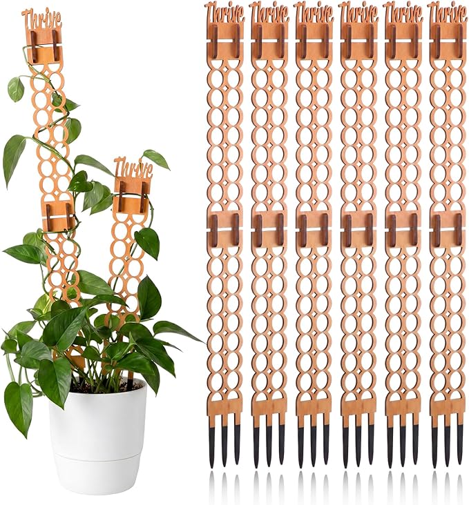 6 Sets Wooden Extendable Plants Trellis Indoor Modular Plant Trellis with Wood Thrive Sign Decor and Extensions for Outdoor Climbing Houseplants Vine Flower Stem(Circle)
