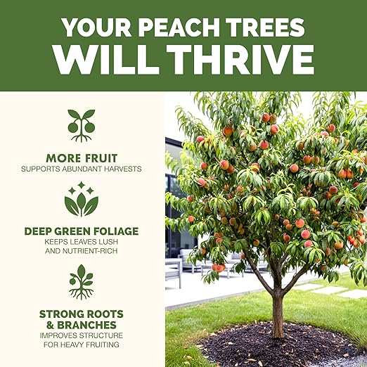 Peach Tree Fertilizer – Liquid Peach Tree Plant Food for Healthy Growth & Fruit Production, 1 Gallon