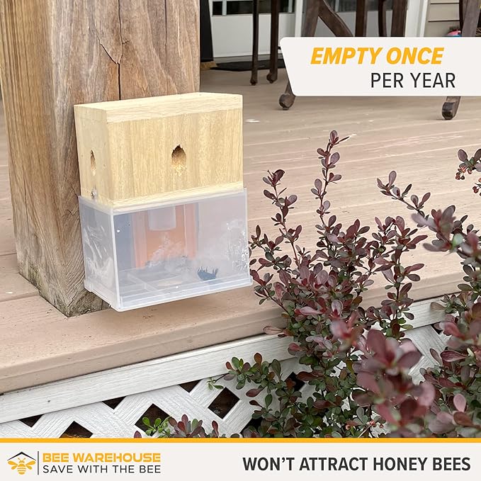 Carpenter Bee Trap - Wood Boring Bee Trap - Unique Catch & Release Outdoor Carpenter Bee Trap - Includes Hanging Hardware & 5 Bee Dams