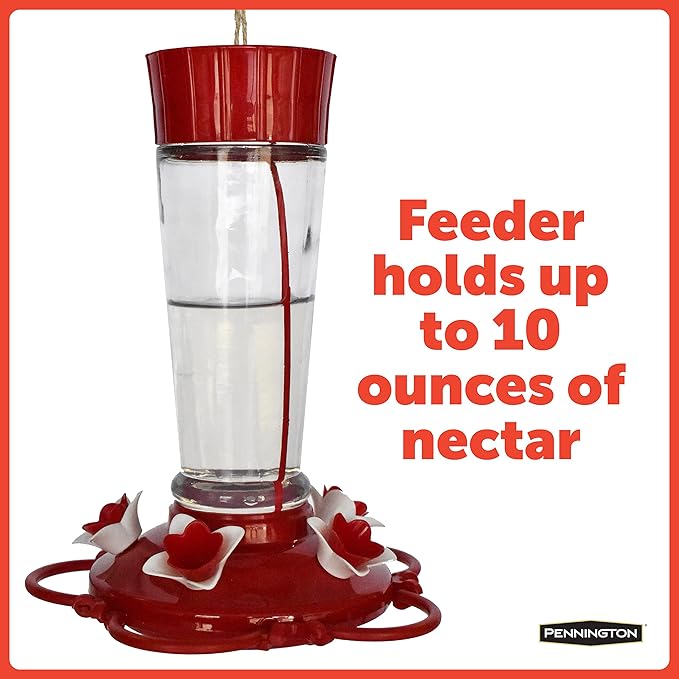 Pennington Pride Glass Hummingbird Feeder 10 Ounces
