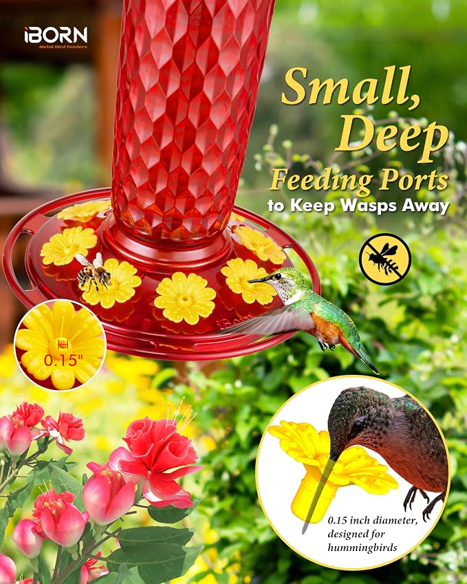 iBorn 16OZ Hummingbird Feeders for Outdoors with Built-in Ant Moat&28" Wall Mount Deck Hook,180° Rotatable Arm, Solid Wire, Pack of 1