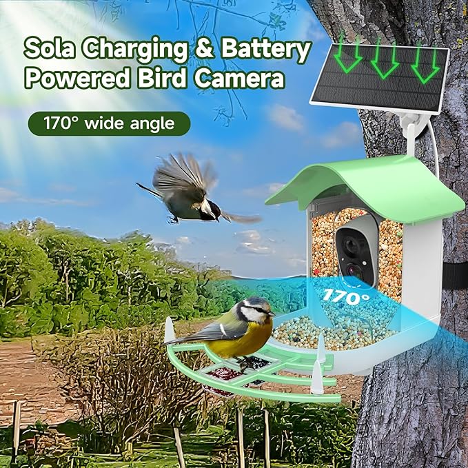 Smart Bird Feeder with Camera Solar Powered,AI Identify Species,2K HD Video Auto Capture Live for Outdoor Backyard,Ideal Gift for Family Bird Lovers (Green)
