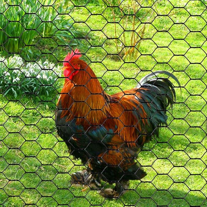 PVC Hexagonal Poultry Netting Chicken Wire 24" x25' x 1" Mesh 20GA Black