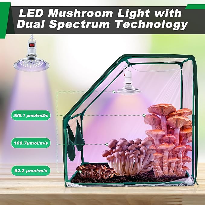 Meonum Large Still Air Box Mushroom Grow Tent, 30x20x20 in Mycology Fume Hood Propagation Stations with LED Growing Light and Thermometer, Monotub Kit for Grow Bags, Growers, Home Scientists(Green)