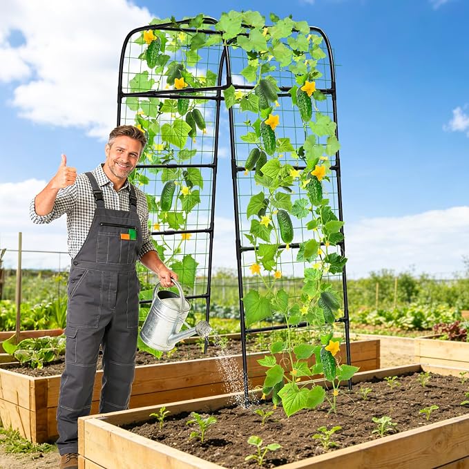 7ft Garden Arch Trellis for Climbing Plants Outdoor-Heavy Duty Metal Cucumber Trellis for Raised Beds- Tall Steel Vegetable Arbor for Climbing Vine Fruit Flower Yard Lawn Arch Tunnel Trellis