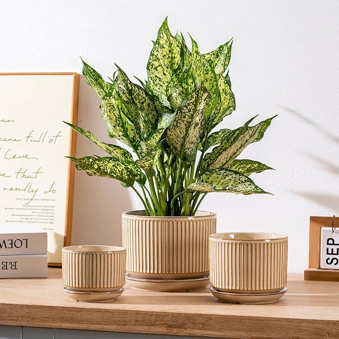 SURE YUESI Ceramic Plant Pots Set of 3, Indoor Outdoor Planters with Drainage Hole and Saucer, Ceramic Flower Pots for Indoor Plants, 4.3+5.5+6.8 Inch, Home, Garden, Patio and Office, Glossy Beige