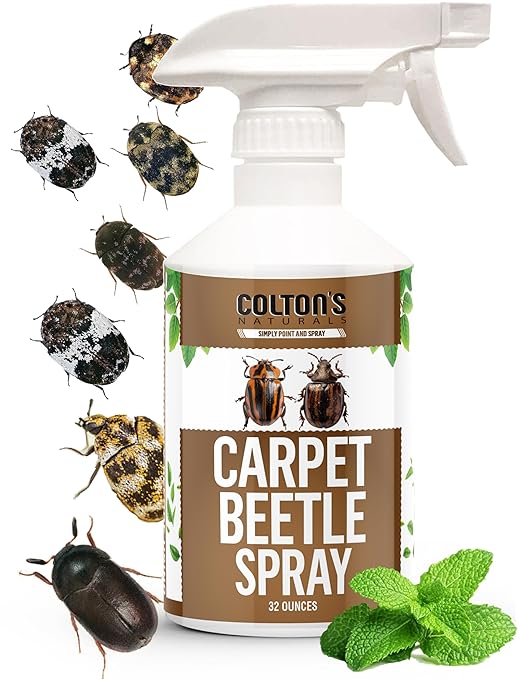 Carpet Beetle Spray – Carpet Beetle Killer for Eggs, Larvae & Adults – Indoor Home Pest Treatment for Rugs, Upholstery, Closets & Baseboards – Non-Staining, Pet & Family Safe Formula