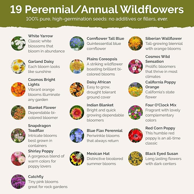 Eden Brothers Wyoming Wildflower Mixed Seeds for Planting, 1/4 lb, 120,000+ Seeds with Cornflower, Yarrow | Attracts Pollinators, Plant in Spring or Fall, Zones