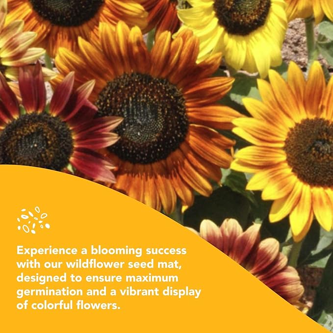 Growtrax Sunflower & Wildflower Seed Mat - 40 sqft Easy Plant and Grow with Eco-Friendly Bio Fabric Attracts Butterflies, Bees Blooms in Summer and Fall - Spring Mix Ideal for Gardens, Pots, Walkways