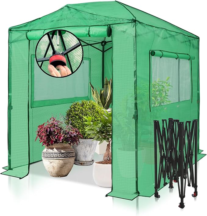 EAGLE PEAK 8x6 Portable Walk in Greenhouse, Pop Up Indoor Outdoor Greenhouse, Green House Kit with Zippered Roll-Up Doors and Windows, PE Cover, Clear/Green
