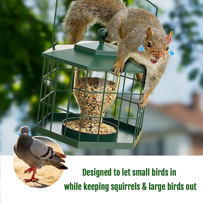 Birdream Squirrel Proof Bird Feeders for Outdoor Hanging, Metal Cage Bird Feeder with Rain Proof Covered for Wildbirds Bluebird Finches, Green