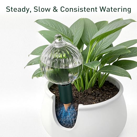 Soilagua 12 oz Plant Watering Globes Top Fill, Clear Glass Water Bulbs with Terracotta Spikes Stake, Vacation Slow Release Self Watering Planter Insert, Automatic Drip Device, 2 Pack