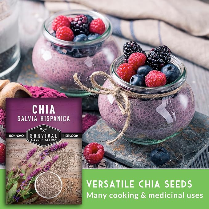 Chia Seeds for Planting – Mexican Salvia Hispanica Herb for Edible Seed Harvest and Ornamental Garden Flowers – Heirloom, Non GMO Variety –Survival Garden Seeds (1 Pack)
