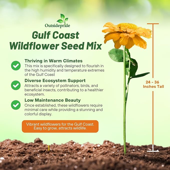 Outsidepride Gulf Coast Wildflower Seed Mix - 1 lb Perennial & Annual Wild Flowers for Full Sun & Partial Shade - Ideal for Pollinator Gardens & Vibrant Landscapes for Southern Florida & Texas