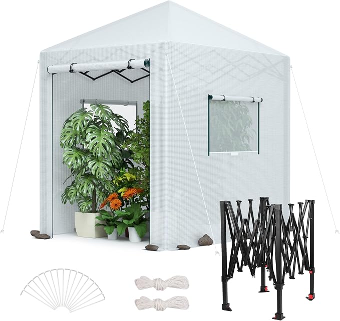 WORKPRO Greenhouse, 94" x70" x98" Pop-up Greenhouse for Outdoors , Heavy Duty Gardening House with Sturdy PE Cover, Roll-up Entry Doors and 2 Screen Windows, for Patio, Backyard, Balcony