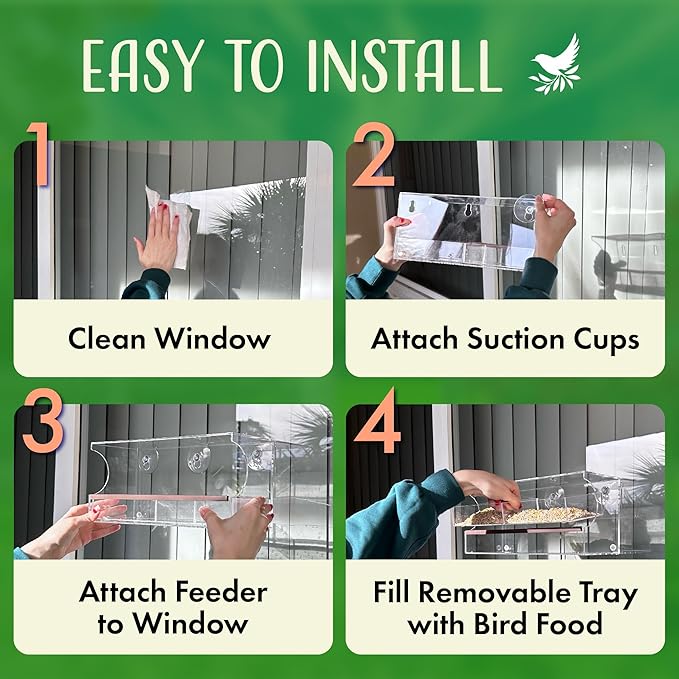 Window Bird Feeder by Nature’s Hangout - Award-Winning Clear Acrylic Bird Feeders for Outdoors, No Assembly, Strong Suction Cups, Bird Watching for Cats, Easy-to-Clean Birdhouse