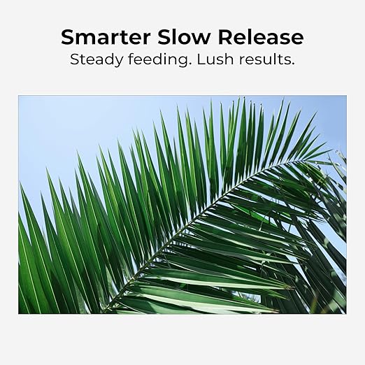 Real Growers Palm Tree Fertilizer 12-4-11 | 12-Month Slow Release Granular Plant Food for Queen Palm, Sago Palm, Date Palm, Cycad | 5 lb