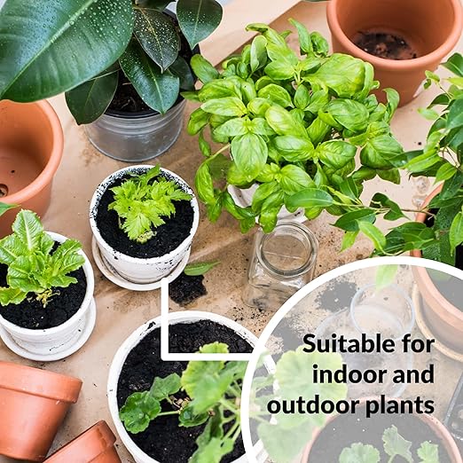 SUPERthrive and Ferry-Morse Grow Your Own Fall Harvest Kit