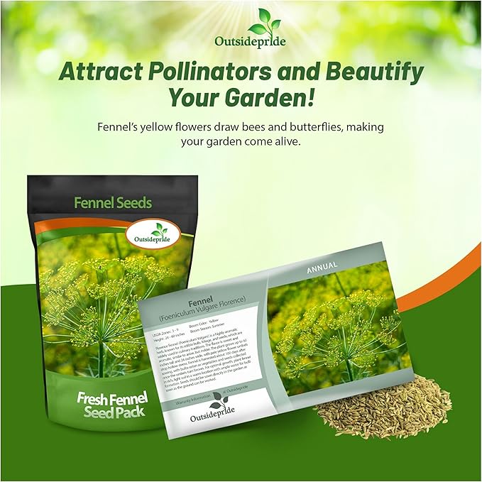 Outsidepride 1/4 lb. Annual Foeniculum Vulgare Fennel Herb Garden Seeds for Planting