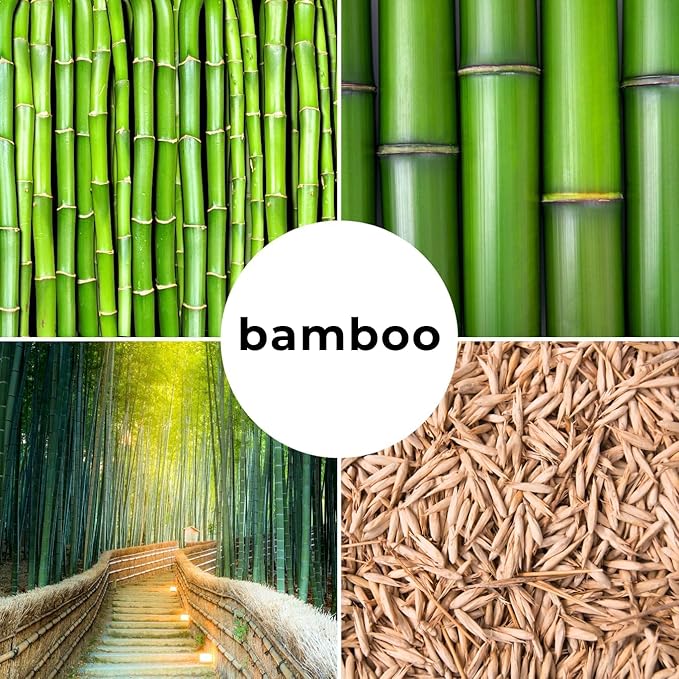 300+ Giant Bamboo Seeds for Planting - Exotic and Fast Growing Windbreak or Privacy Screen - Rapid-Growing Bamboo - Tall, Tropical Style