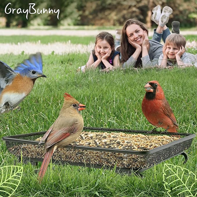 Ground Bird Feeder Tray for Outdoors (Metal) | Platform Mesh Seed Tray, Weather Resistant Backyard Bird Feeder, Garden Yard Decoration for Wild Birds, Squirrels, Dove, Cardinal, Blue Jay (11x11 in)
