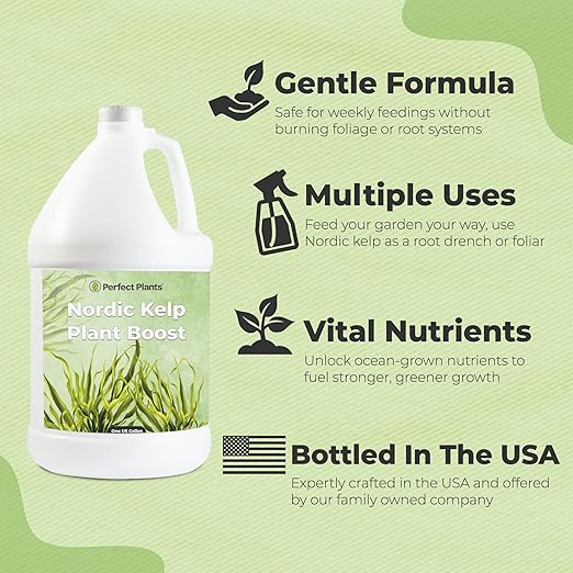 Nordic Kelp Boost Liquid - Perfect Plants (1 Gallon) (Pack of 2)