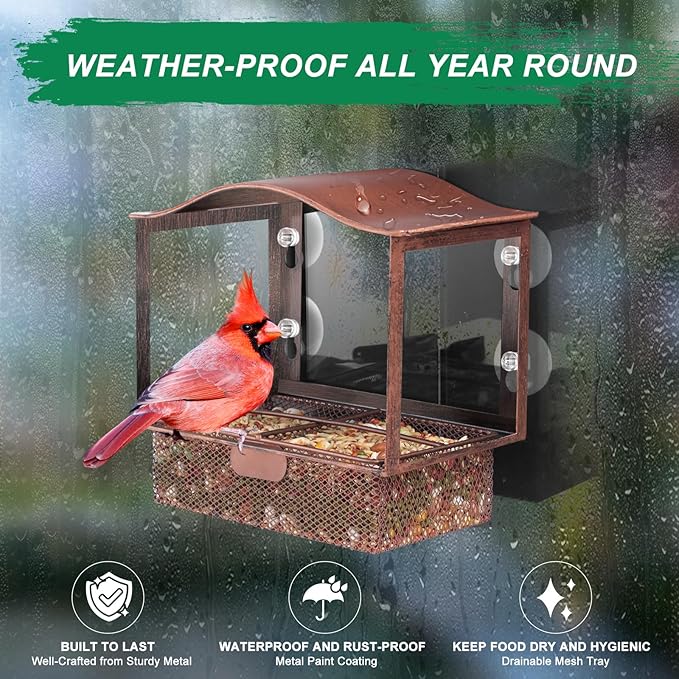 Lilyang Window Bird Feeder, Metal Bird Feeder Window with Wide View, Window Bird Feeders with Strong Suction Cups, Wild Bird Feeders for Bird Watching Presents