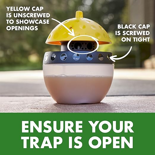Spectracide Wasp & Hornet Trap Refill, Lure Refill for Spectracide Wasp & Hornet Trap, 1 Count