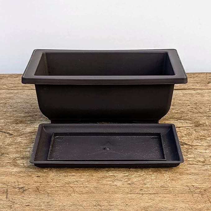 Tinyroots Bonsai Soil Plus a Three Pack of Six-Inch Training Bonsai Pots