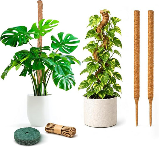 EcoNour 2 Pack Moss Poles for Plants – 28" Monstera Plant Support Stakes, Coir Plant Sticks for Indoor Climbing Plants, Pothos, Philodendron & Houseplants