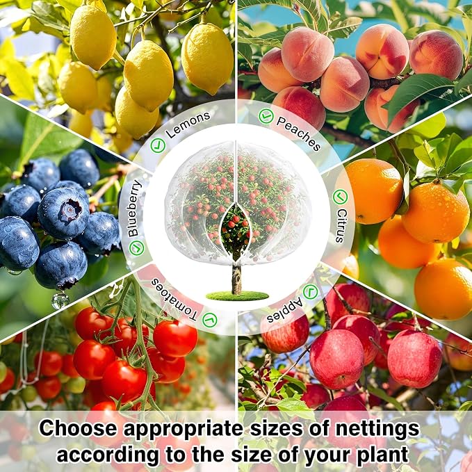 4PCS 10Ft × 10Ft Fruit Tree Netting with Zipper and Drawstring, 60 Mesh Thickened Garden Bird Netting for Blueberry Bushes, Fruits, Vegetables, Insect Bird Barrier Mesh Protective Cover